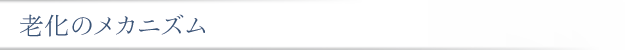 老化のメカニズム