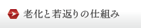 老化と若返りの仕組み