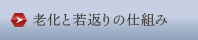 老化と若返りの仕組み