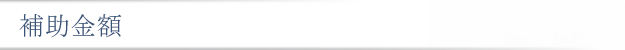 補助金額
